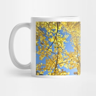 Golden Fall Aspen Trees in Colorado Mug